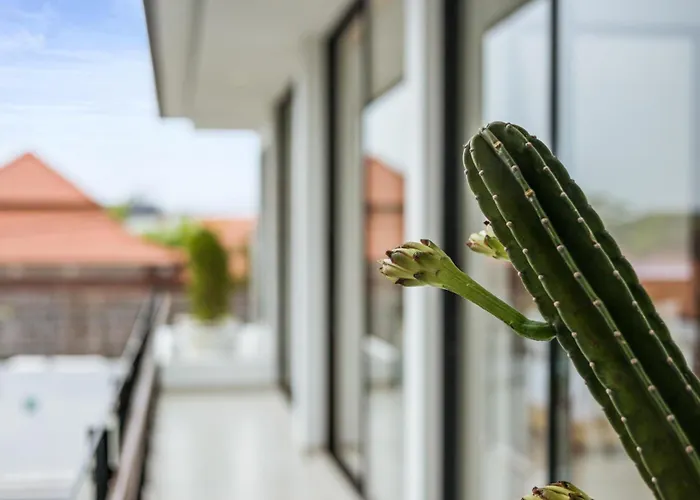 New 3 Bedroom Luxury In Umalas * Canggu (Bali)